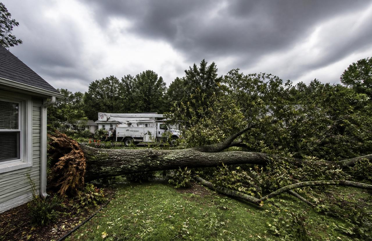 Rapid Storm Response